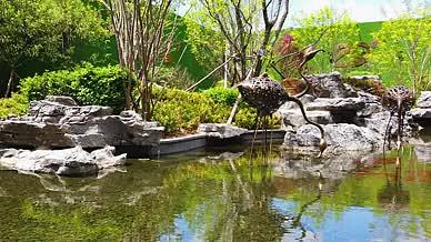 高清拍摄苏州园林池塘奇石视频的预览图
